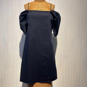 Classic Draped Sleeve Dress